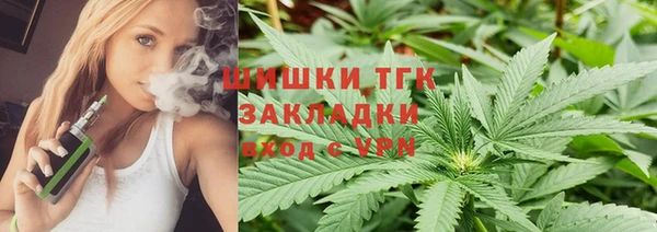тгк Алексин